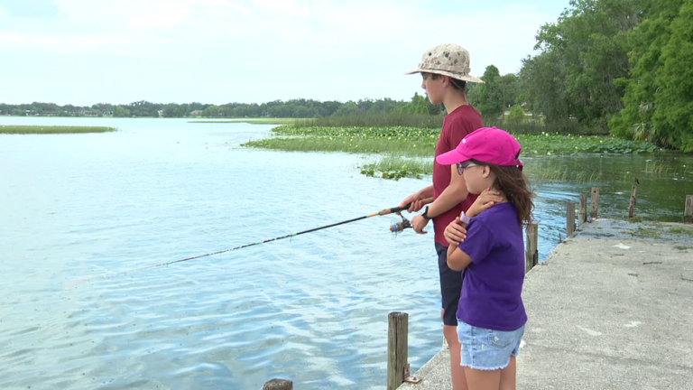 Lake Hollingsworth Fish Die-Off