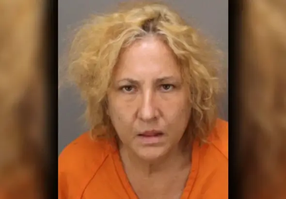 582fd1fb8fc38704d79607045526bb1f